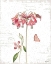 Picture of SPRING FIELDS V