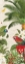 Picture of PARROT PARADISE VII