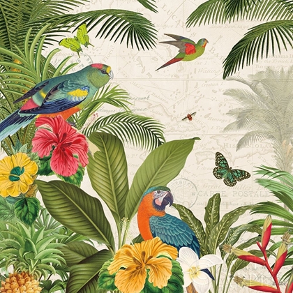Picture of PARROT PARADISE II