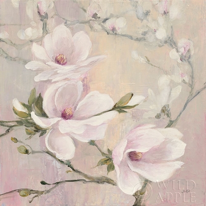 Picture of BLUSHING MAGNOLIAS