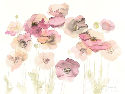 Picture of DELICATE POPPIES