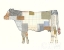 Picture of FARM SWEET FARM ELEMENT II