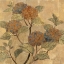 Picture of GOLDEN HYDRANGEA