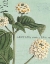 Picture of BOTANIQUE BLEU I