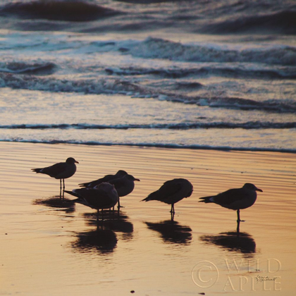 Picture of KALALOCH BIRDS II