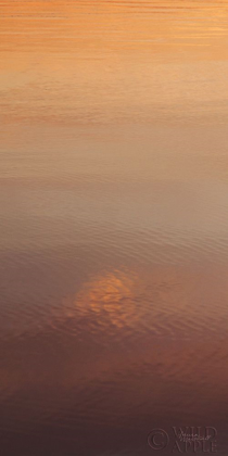 Picture of KALALOCH REFLECTIONS I