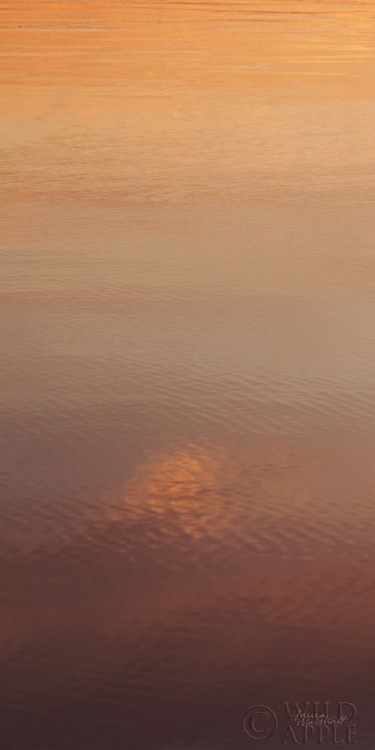 Picture of KALALOCH REFLECTIONS I