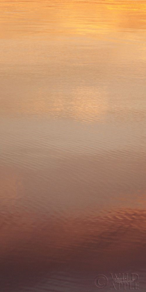 Picture of KALALOCH REFLECTIONS II