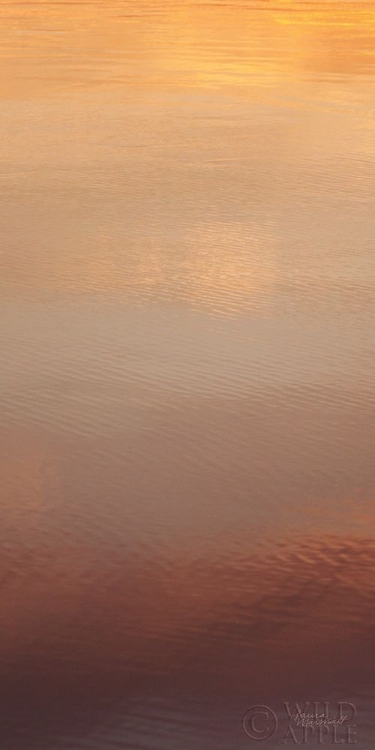 Picture of KALALOCH REFLECTIONS II