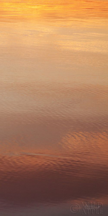 Picture of KALALOCH REFLECTIONS III