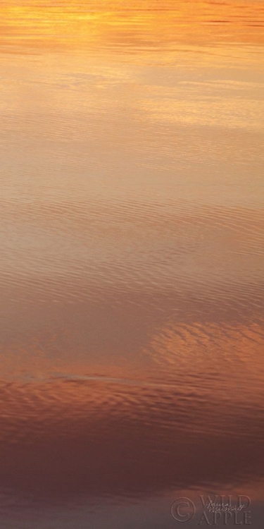 Picture of KALALOCH REFLECTIONS III