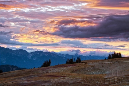 Picture of SEPTEMBER SKIES I