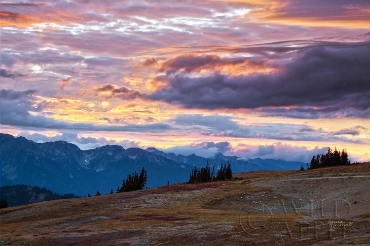 Picture of SEPTEMBER SKIES I