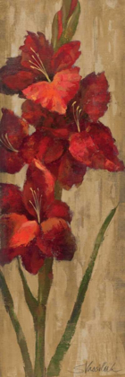 Picture of VIVID RED GLADIOLA ON GOLD