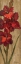 Picture of VIVID RED GLADIOLA ON GOLD