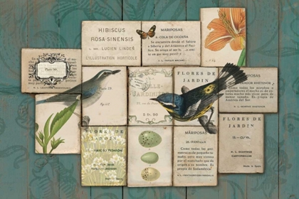 Picture of BIRDS OF THE GARDEN