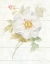 Picture of JUNE BLOOMS III