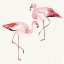 Picture of TROPICAL FUN BIRD V