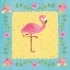 Picture of FLAMINGO DANCE I SQ BORDER