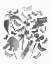 Picture of BUTTERFLY BOUQUET III LINEN BW III
