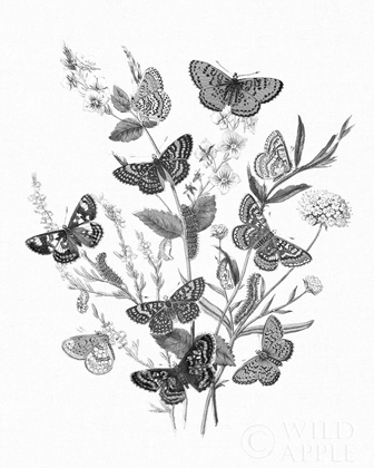 Picture of BUTTERFLY BOUQUET I LINEN BW I