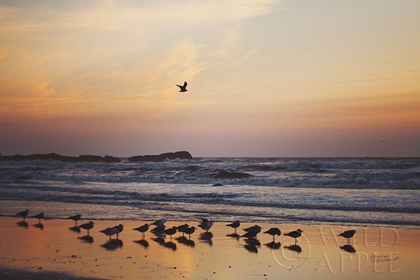 Picture of KALALOCH BIRDS III