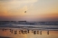 Picture of KALALOCH BIRDS III