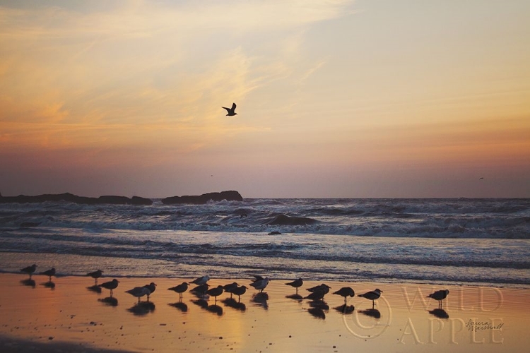 Picture of KALALOCH BIRDS III