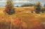 Picture of OCTOBER LIGHT