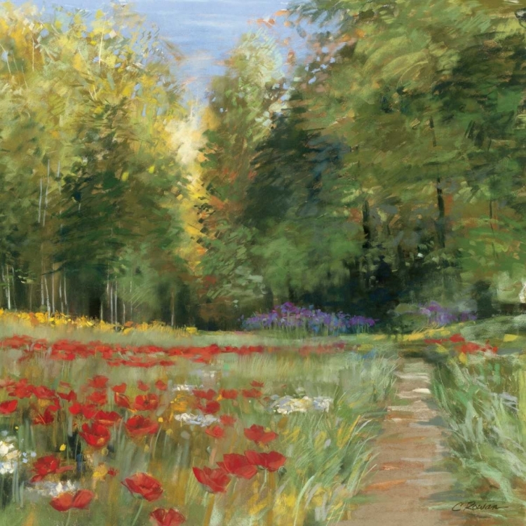 Picture of FIELD OF FLOWERS