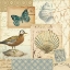 Picture of COASTAL COLLAGE I
