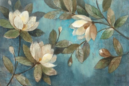 Picture of FLOATING MAGNOLIAS