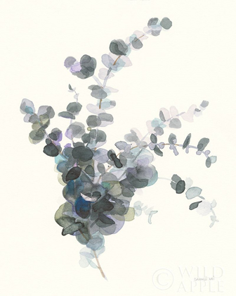 Picture of SCENTED SPRIG II