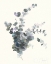Picture of SCENTED SPRIG II