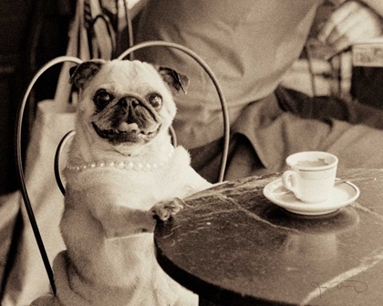 Picture of CAFE PUG