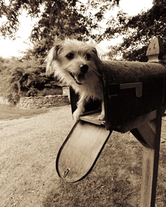 Picture of YOU VE GOT MAIL