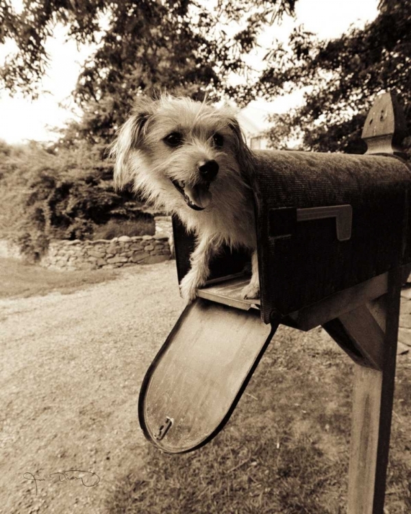 Picture of YOU VE GOT MAIL