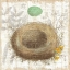 Picture of BOTANICAL NEST II