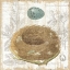 Picture of BOTANICAL NEST III