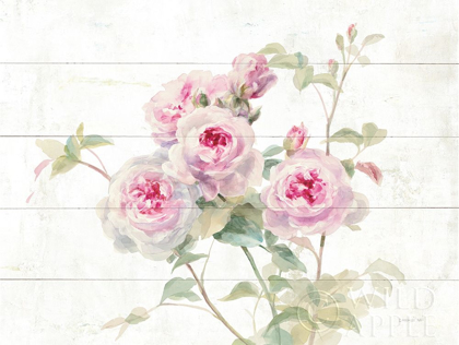 Picture of SWEET ROSES ON WOOD