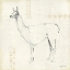 Picture of LLAMA LAND VIII