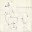 Picture of LLAMA LAND X