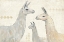 Picture of LLAMA LAND IV