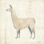 Picture of LLAMA LAND VI