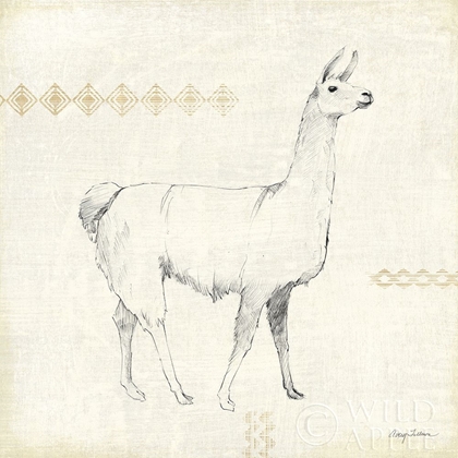 Picture of LLAMA LAND VII