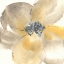 Picture of FLOWER TONES II