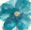 Picture of BLOOM BEAUTY II