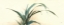 Picture of HORIZONTAL GRASS I