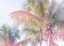 Picture of DREAM PALM I