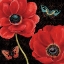 Picture of PETALS AND WINGS II